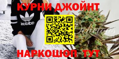 ГАЛЛЮЦИНОГЕННЫЕ ГРИБЫ Нальчик