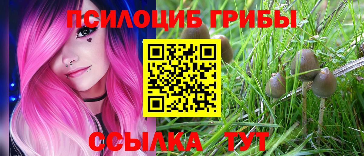 Галлюциногенные грибы MAGIC MUSHROOMS Спасск-Дальний
