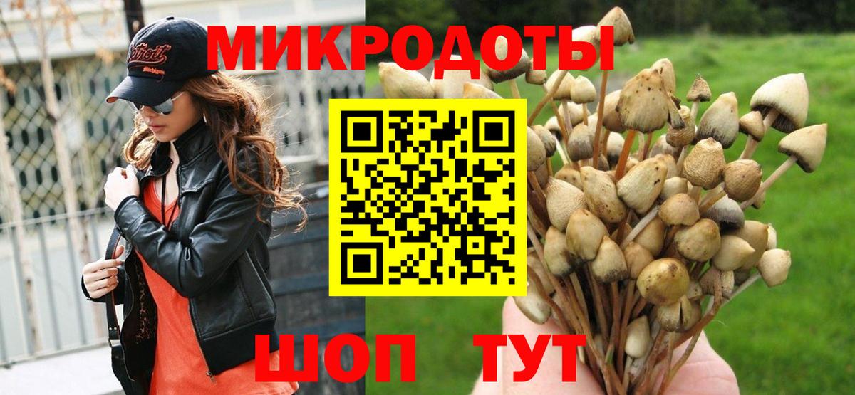 Псилоцибиновые грибы мицелий  Вход с VPN  купить  цена  Спасск-Дальний  Псилоцибиновые грибы MAGIC MUSHROOMS 